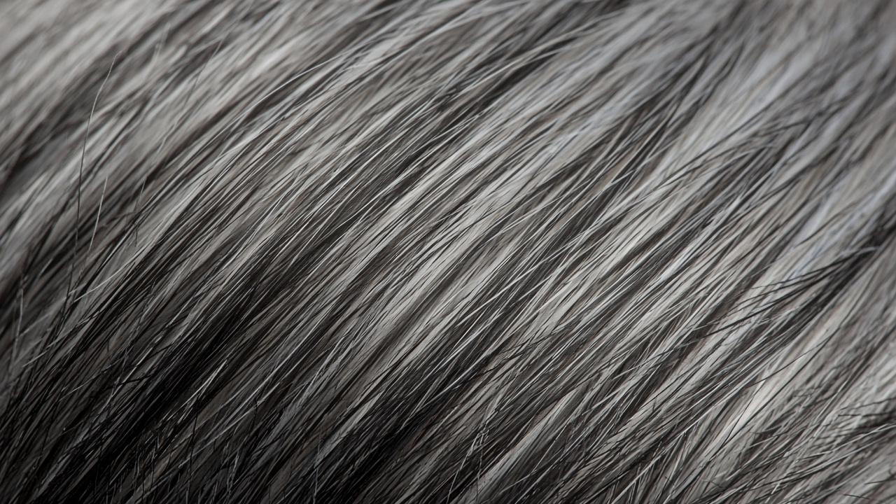 Glueless Salt & Pepper Grey Short Wig - Image 4